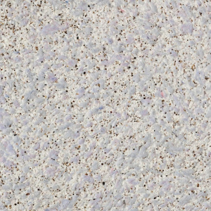 Жидкие обои Silk Plaster Жидкие обои Престиж (Prestige)