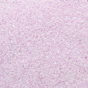 Жидкие обои Silk Plaster Коллекция Master Silk MS 12 