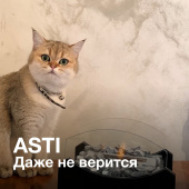 Даже не верится! Декоративное покрытие ASTI в интерьере спальни Даже не верится! Декоративное покрытие ASTI в интерьере спальни