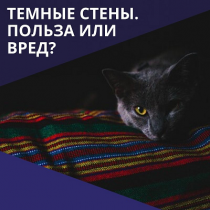 Темные стены. Польза или вред?