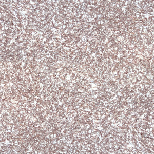 Жидкие обои Silk Plaster Master Silk MS-23 