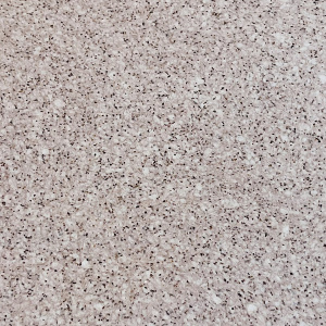 Жидкие обои Silk Plaster ALEGRA (Алегра)