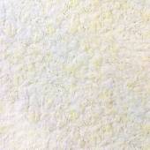 Жидкие обои Silk Plaster Жидкие обои Эколайн (Ecoline)