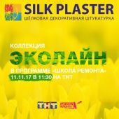 11 ноября Эколайн в Школе ремонта