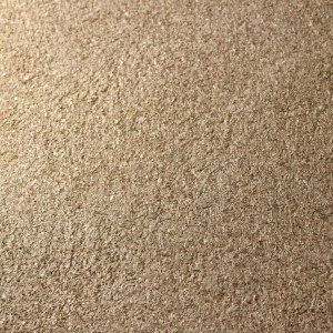 Victoria du Monde La Loire 207