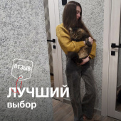 Жидкие обои SILK PLASTER – мой лучший выбор! Жидкие обои SILK PLASTER – мой лучший выбор!