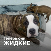 Больше рулонных обоев в моем доме не будет! Больше рулонных обоев в моем доме не будет!