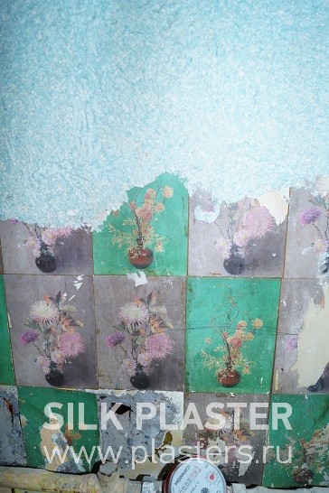 Promo_SILK_PLASTER_2015_4.JPG