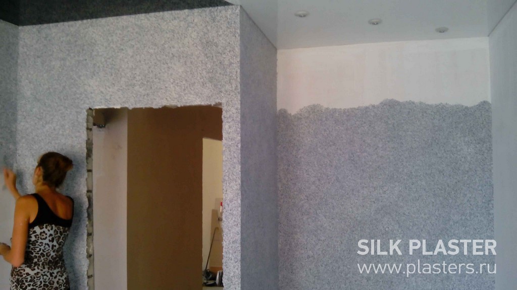 Promo_SILK_ PLASTER_2015_ 4.jpg