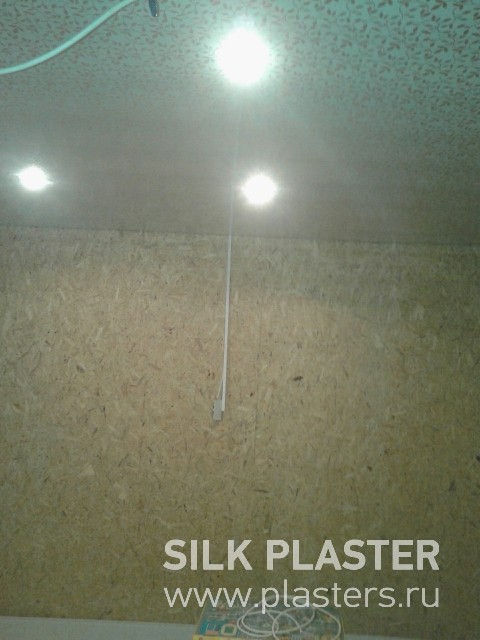 Promo_SILK_ PLASTER_2015_ 5.jpg