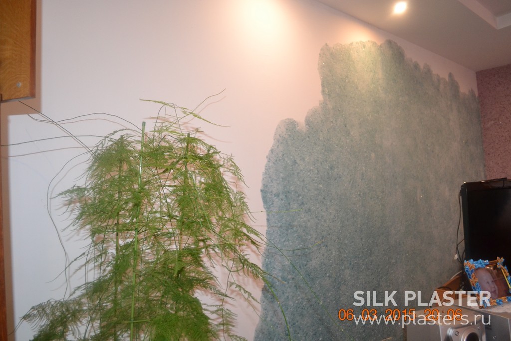 Promo_SILK_ PLASTER_2015_ 5.JPG