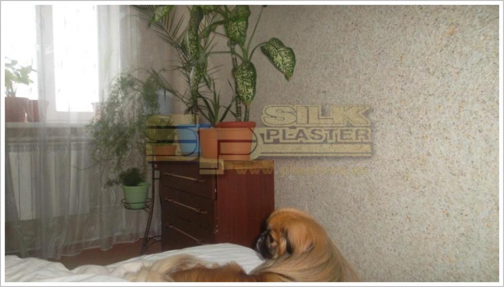 Жидкие обои SILK PLASTER Акция Андреева Виктория