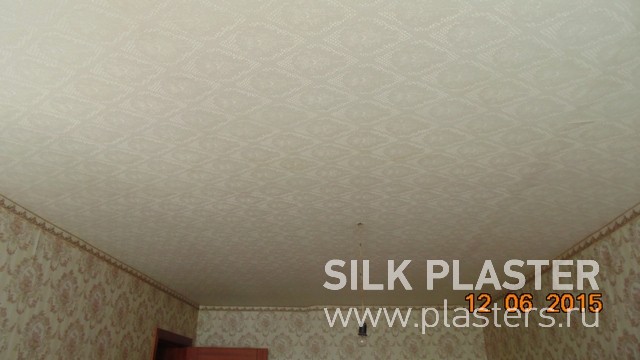 Promo_SILK_ PLASTER_2015_ 2.jpg