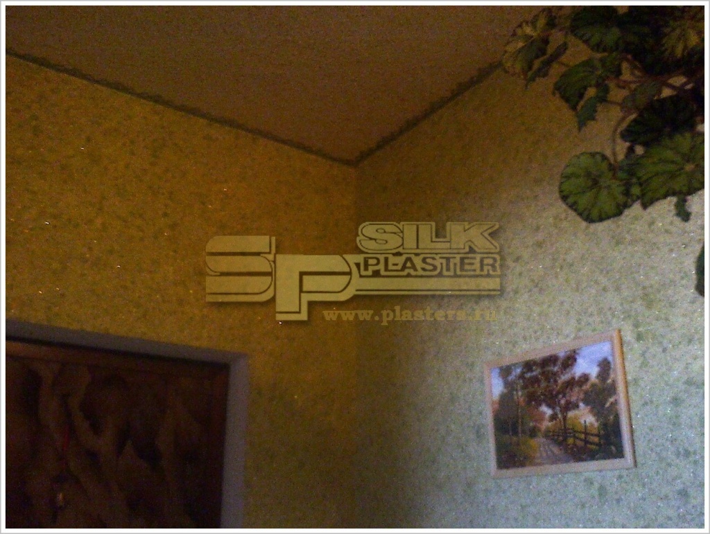 Жидкие обои SILK PLASTER Акция Киреев Денис Жидкие обои SILK PLASTER Акция Киреев Денис