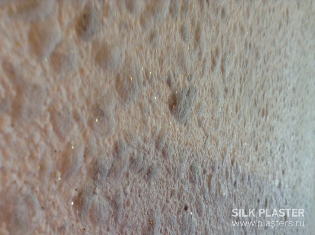 Promo_SILK_ PLASTER_2015_ 6.JPG