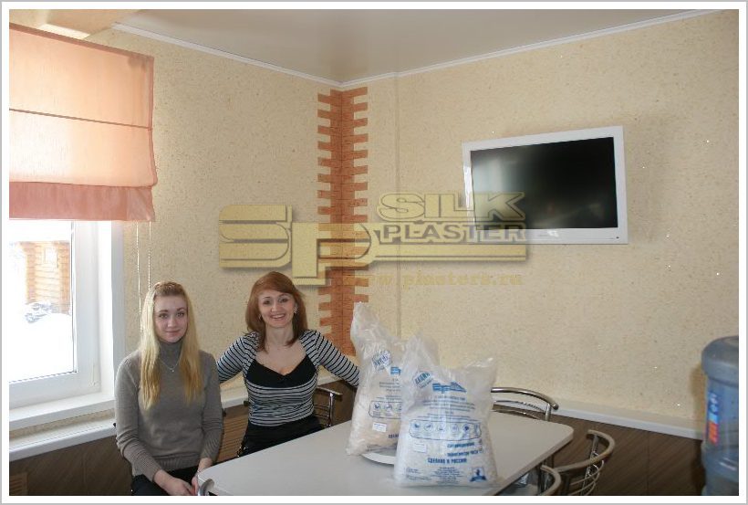 Жидкие обои SILK PLASTER Акция Илясов Андрей Жидкие обои SILK PLASTER Акция Илясов Андрей