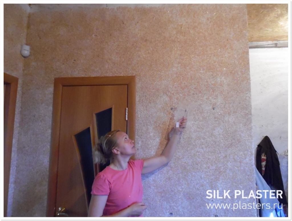 Promo_SILK_PLASTER_2015_2.JPG