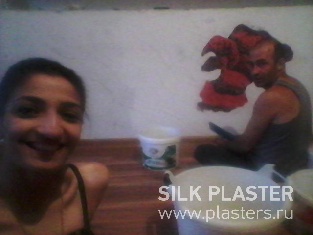 Promo_2015_SILK_PLASTER_2.jpg