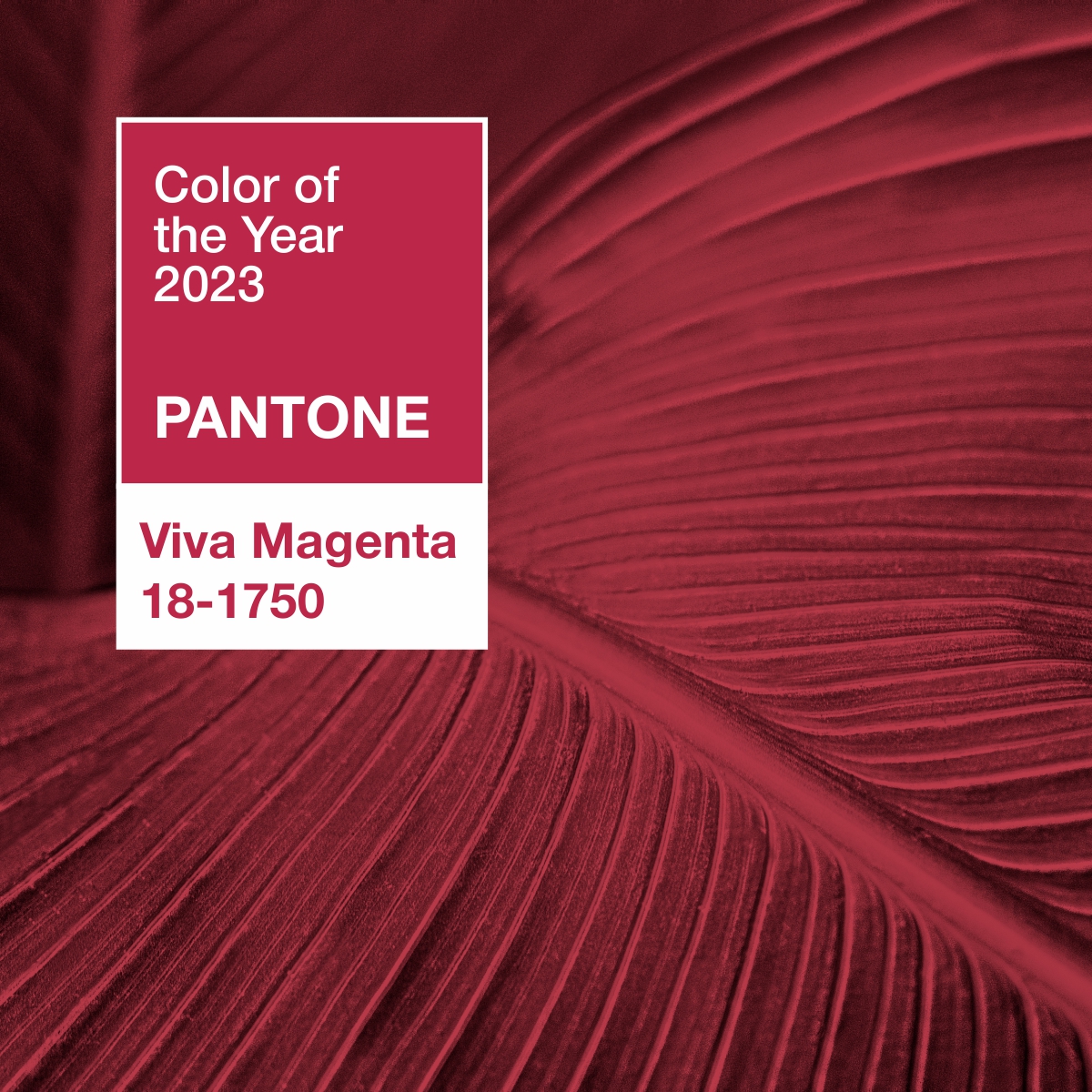 Цвет 2023 года по версии Pantone в интерьере