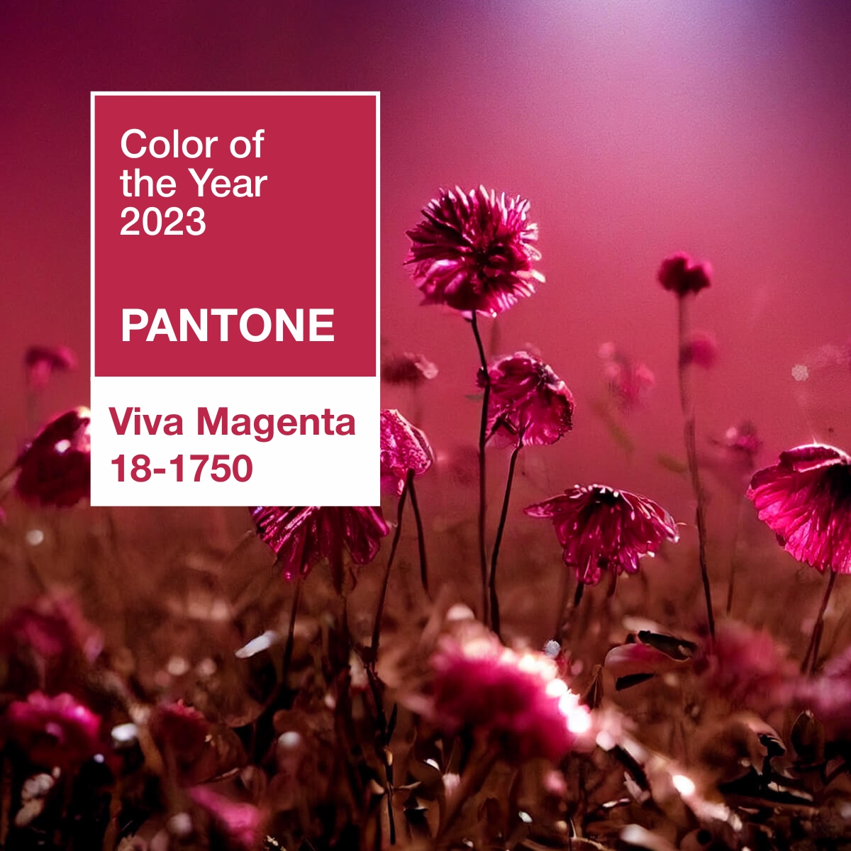 Цвет 2023 года по версии Pantone в интерьере