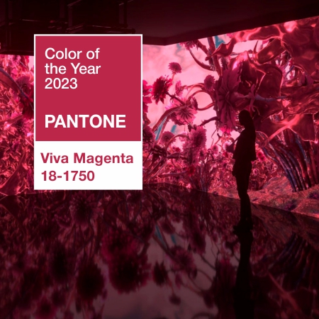 Цвет 2023 года по версии Pantone в интерьере