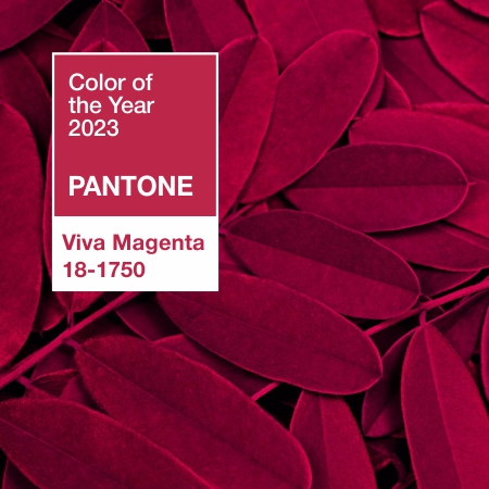 Цвет 2023 года по версии Pantone в интерьере