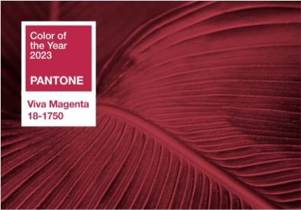 Главный цвет 2023 года по версии Pantone и его применение в интерьере