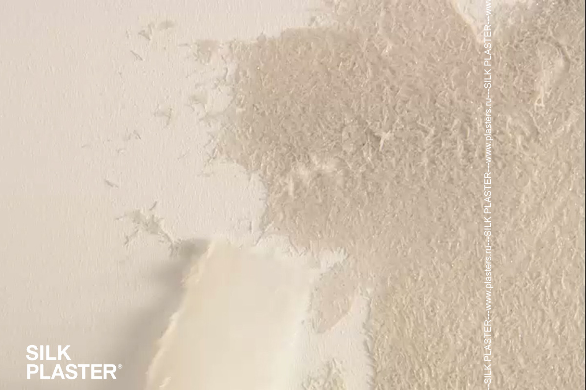 SILK PLASTER и Квартирный вопрос на НТВ