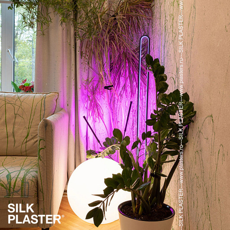 SILK PLASTER и Квартирный вопрос на НТВ