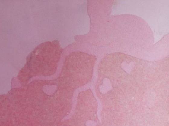 Обои для стен Silk Plaster