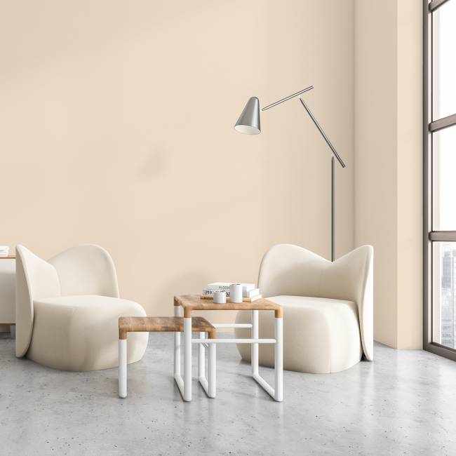 Краска AlterItaly АВОЛА МАТОВАЯ (AVOLA MATTE), база А, объем 0.9, 4.5 и 9 л, оттенок 09 - фото в интерьере