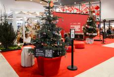 «МНИиД ЗИМА 2025» — спасибо! Это было феерично, ярко и незабываемо! До новых встреч! – фото 8