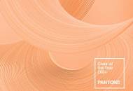 Peach Fuzz – используем главный цвет 2024 года в интерьере