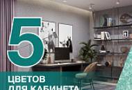 5 цветов для оформления рабочего места