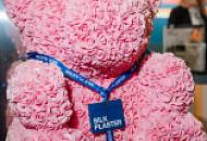 «МНИиД ЗИМА 2025» — спасибо! Это было феерично, ярко и незабываемо! До новых встреч!