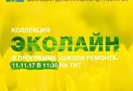11 ноября Эколайн в Школе ремонта