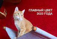 Главный цвет 2023 года в интерьере гостиной. Будь в тренде с SILK PLASTER!