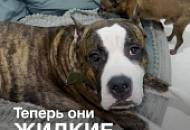 Больше рулонных обоев в моем доме не будет!