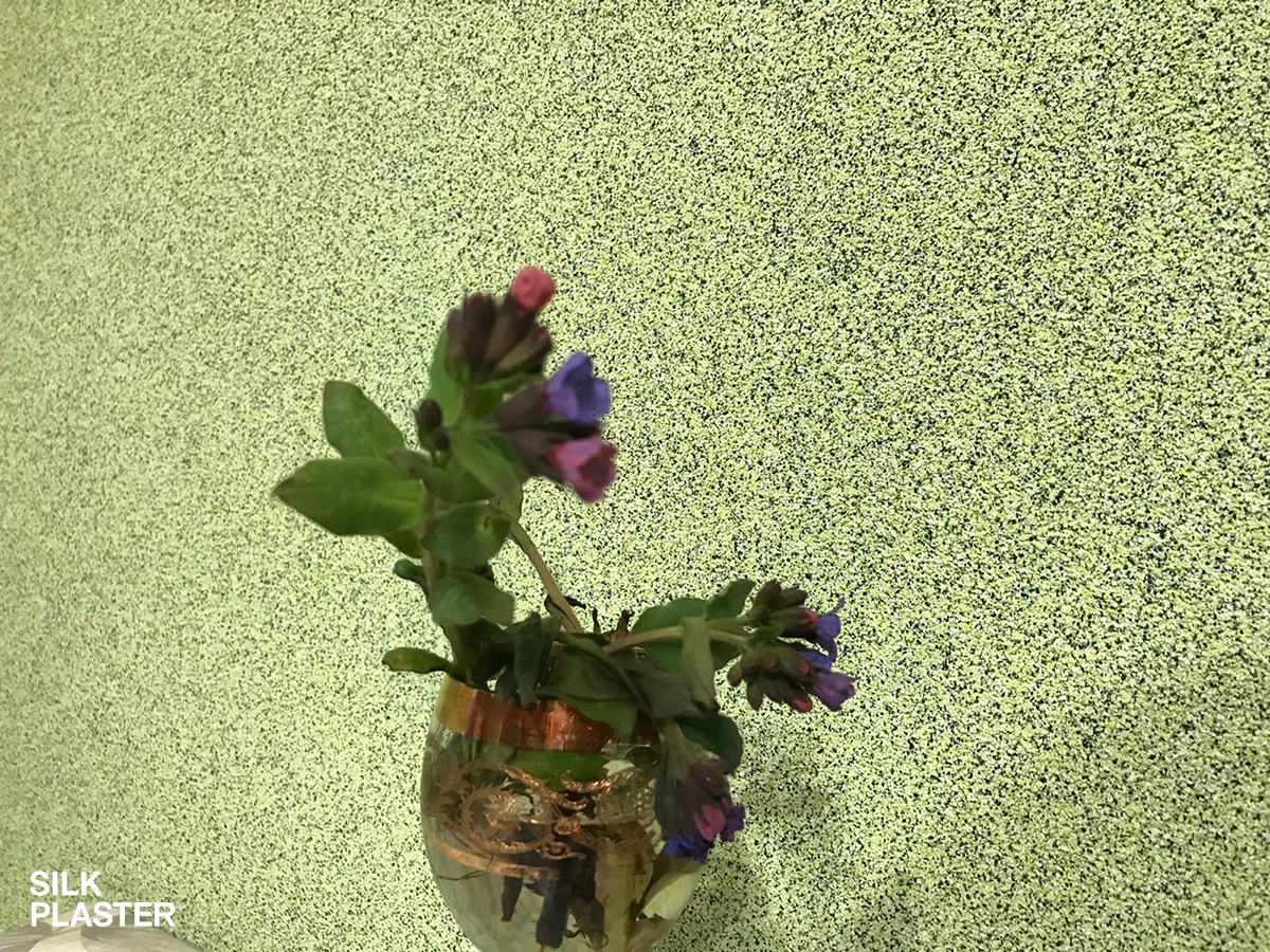 Отзывы SILK PLASTER