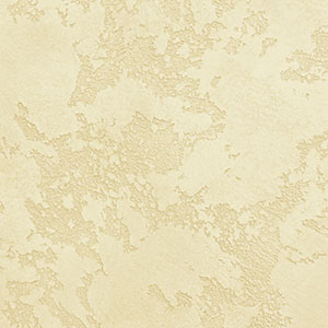 TOPCOAT-MATTE 03-1005