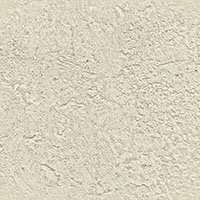 TOPCOAT-MATTE 03-610