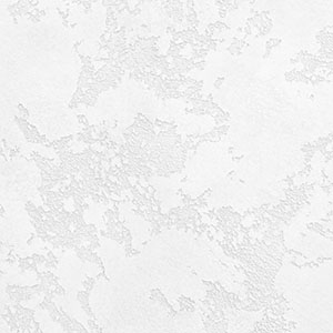 TOPCOAT-MATTE 03-100