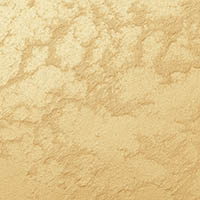 ASTI 02-1001